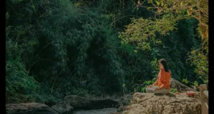 Healthy Lifestyle Your Natural Health - What Are Holistic Therapies? A Complete Guide for Beginners