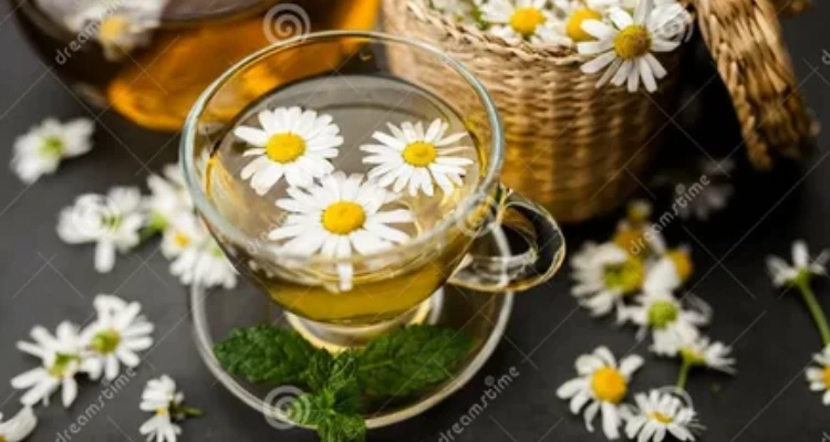 therapeutic-teas-and-infusions-to-improve-sleep-in-the-elderly