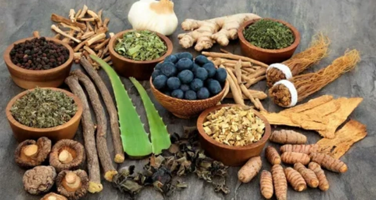 Natural Remedies to Increase Energy and Combat Male Fatigue