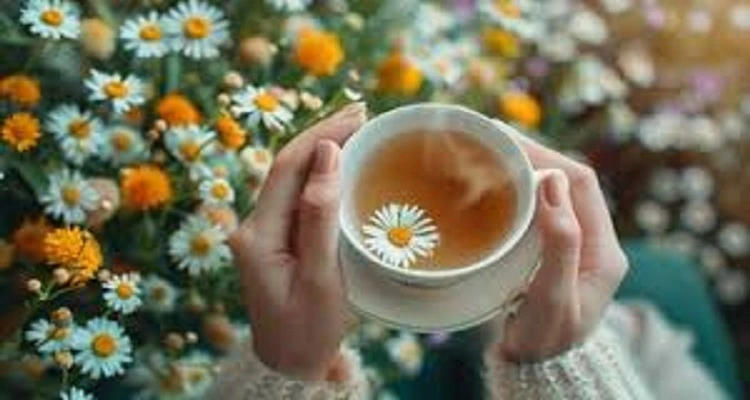 The 10 Best Teas to Relieve Anxiety and Promote Relaxation Your Natural Health - The 10 Best Teas to Relieve Anxiety and Promote Relaxation
