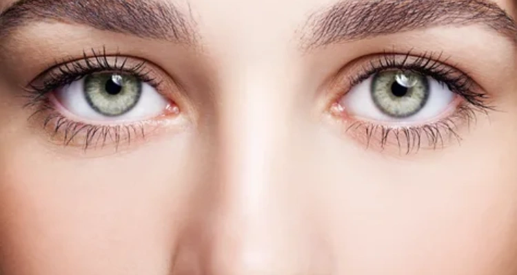 Functional Foods - Your Natural Health - Goji Berry: How This Superfood Helps Your Eye and Immune System Health