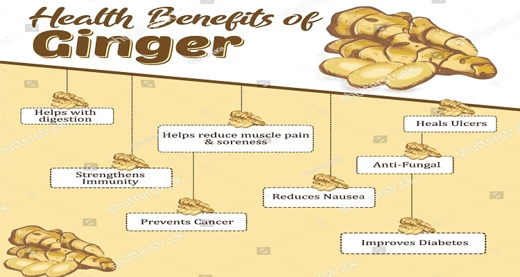 Your Natural Health - A graphic highlighting the various health benefits of ginger.