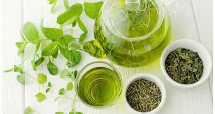 Green Tea: What Science Says About Its Antioxidant Power