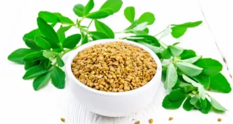 Medicinal Plants for Diabetes: Proven Natural Remedies