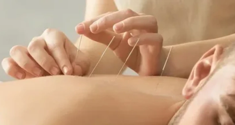 Healthy Lifestyle Your Natural Health - What Are Holistic Therapies? A Complete Guide for Beginners