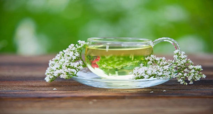 The 10 Best Teas to Relieve Anxiety and Promote Relaxation Your Natural Health - The 10 Best Teas to Relieve Anxiety and Promote Relaxation
