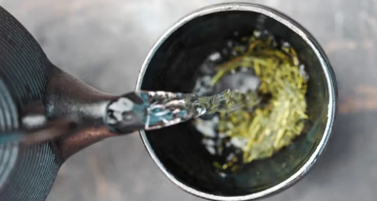 Medicinal Plants for Diabetes: Proven Natural Remedies