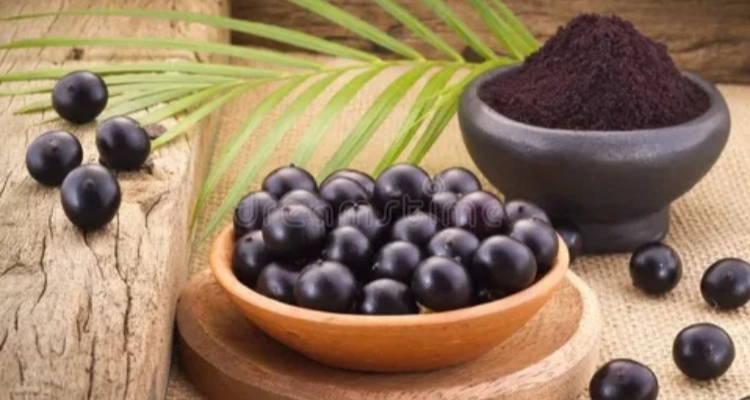 your-natural-health-acai-a-brazilian-superfood-for-energy-and-vitality
