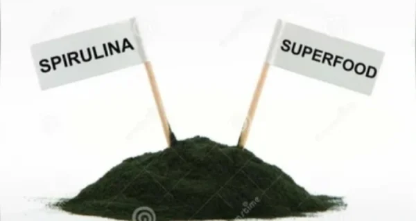 your-natural-health-the-benefits-of-spirulina-a-superfood-rich-in-protein-and-nutrients